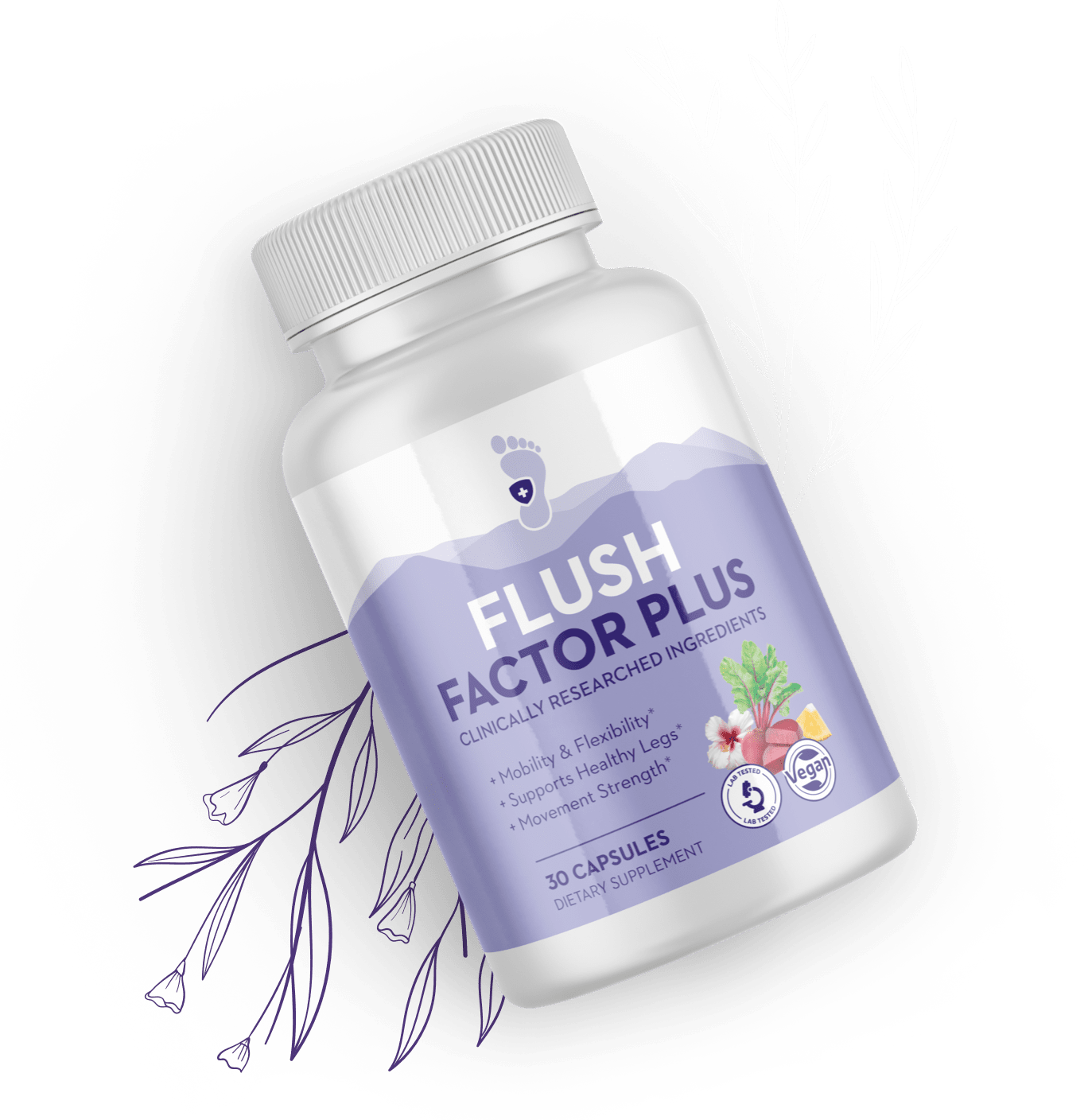 ProDentim single bottle plus probiotics strains